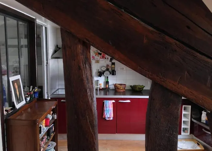 Parisian Flat Under The Roofs *