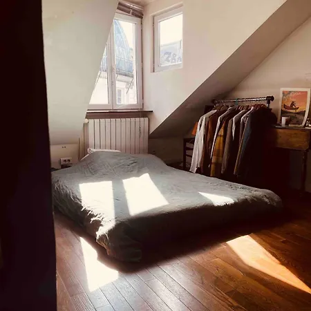 Parisian Flat Under The Roofs Apartman *